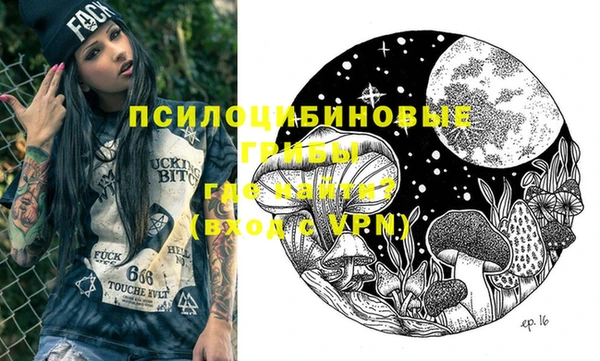 ПСИЛОЦИБИНОВЫЕ ГРИБЫ Армянск