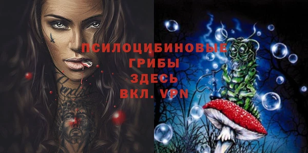 мяу мяу мука Аркадак