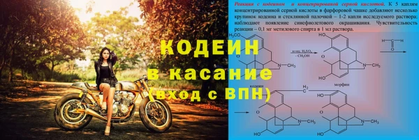 мяу мяу мука Аркадак